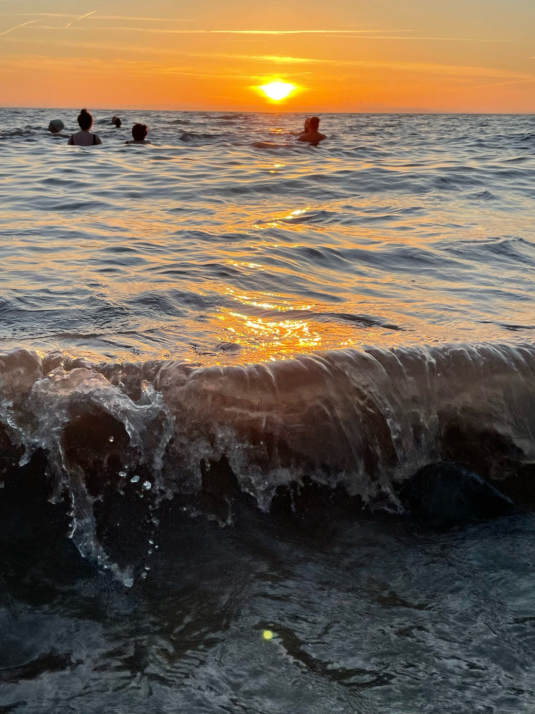 New Years Wild Swim